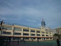 2009.11.8<br>墨田区立横川小学校の校庭から<br>(C)吉田佐和子