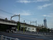 2009.11.8<br>墨田区役所脇の枕橋から<br>(C)吉田佐和子