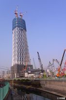2009.11.10<br>200mに成長